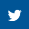 social-twitter-blue